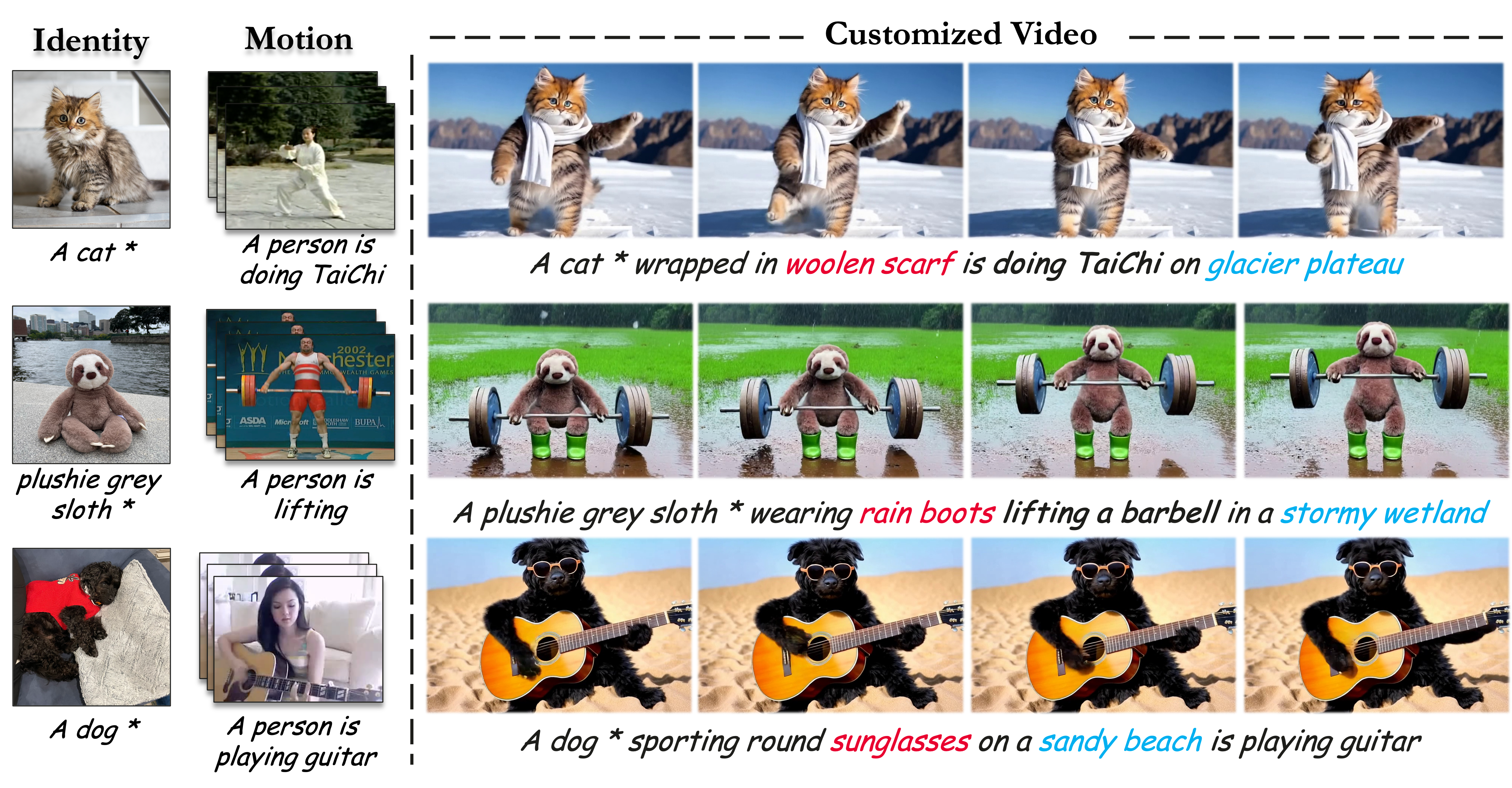 DualReal Result Showcase